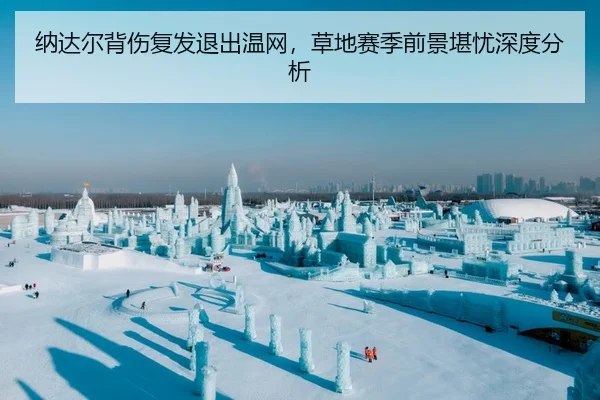纳达尔背伤复发退出温网，草地赛季前景堪忧深度分析
